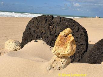 IMG-20261024-WA0018