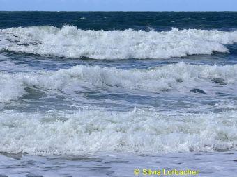 IMG-20261024-WA0022